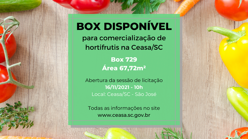 licitacao box 729 destaque